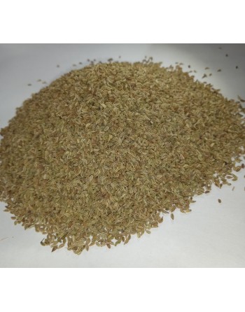 Ajwain 5-Star (Carom Seed )