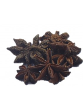 Chakrful (Star anise)