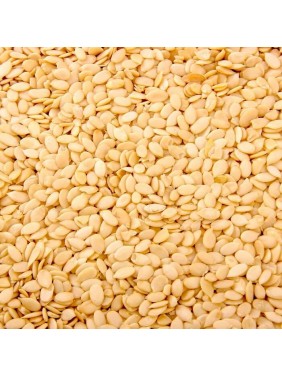 Kharabooja Seed (Musk...